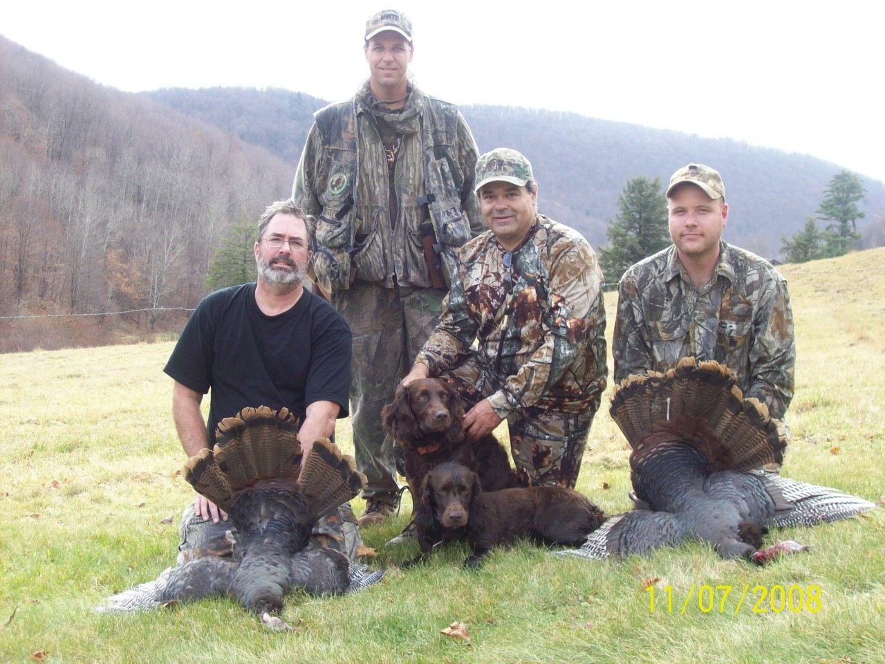 turkey dogs